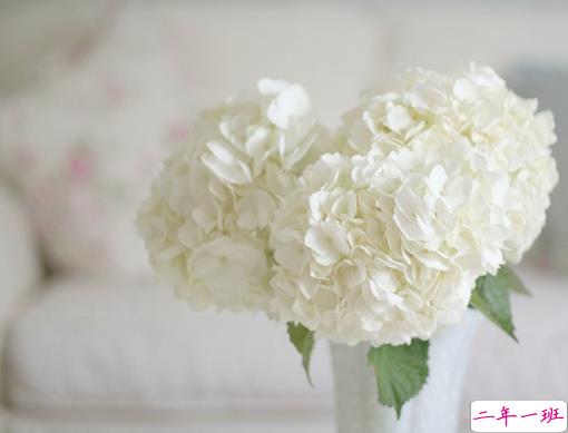 给人正能量的早安句子2019精选 早安说说简短经典一句话2