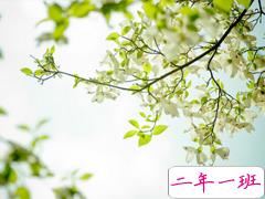 给人正能量的早安句子2019精选 早安说说简短经典一句话