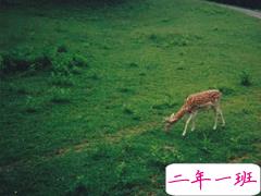 喜欢独来独往的人是怎样的心理状态 享受一个人的心情说说很特别