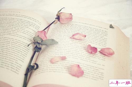 微信朋友圈感动说说心情短语 哪来的狗屁好脾气全是因为我喜欢你1