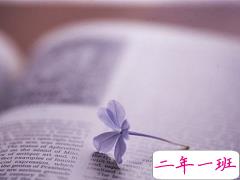 给女生的小情话暖人心超浪漫 低调秀恩爱的说说心情短语