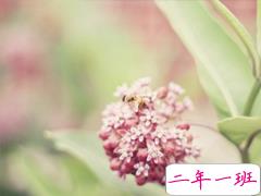 很特别适合女生的个性说说大全 朋友圈女生简单有气质的话语