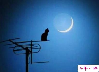 很有道理的心情说说很走心 一句话感悟生活认清现实的说说2