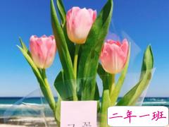 值得收藏的好词好句适合发朋友圈 留下你很喜欢的一段话