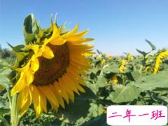 2018九月你好唯美经典说说精选 八月再见九月你好明天会更好