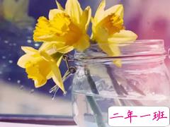 八月最后一天心情说说2018 八月即将过去的朋友圈晚安说说