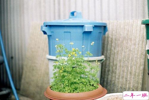 爱情中感到孤独的心情说说 还是会感到寂寞的心情说说1