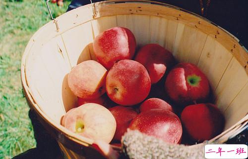 生活好累好压抑的说说很无助 一个人心累了快要崩溃的说说3