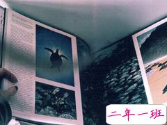 一个人思考人生的心情说说 一些唯美又文艺的心情说说大全