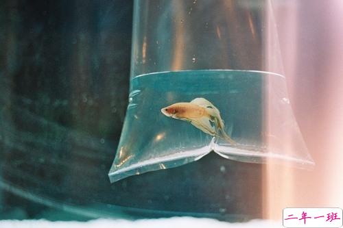 一瞬间打动你内心的经典心情说说 心情突然低落的唯美文艺说说1