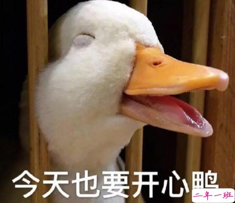 七夕收到礼物惊喜心情说说 2018七夕情人节收到礼物的朋友圈说说2