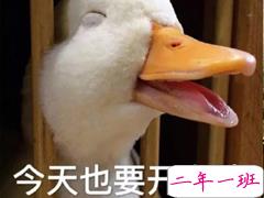 七夕收到礼物惊喜心情说说 2018七夕情人节收到礼物的朋友圈说说