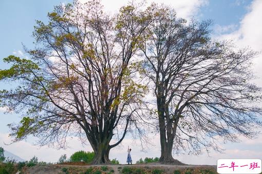 记忆中的美好慢慢流逝的心情说说 有时觉得孤独的沮丧说说1