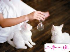 一见倾心的唯美心情说说 时光和成长教会我们的说说