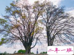 记忆中的美好慢慢流逝的心情说说 有时觉得孤独的沮丧说说