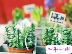 唯美文艺小清新的说说2018最新版 适合女生发朋友圈的唯美说说