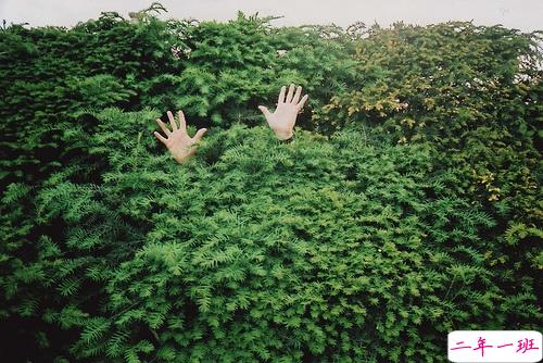 青春年少时对人生思考的心情说说 关于时光和成长的说说1