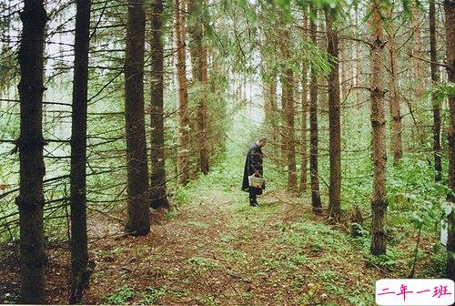 关于我很不开心的说说大全2019 不开心的说说心情短语一段话表达2