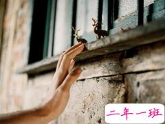 孤独的人在深夜里独自思考的心情说说 思考人生的心情说说发朋友圈