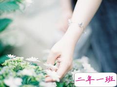 心酸但却透露出温柔的心情说说 生活很现实的治愈说说