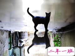 心情低落发朋友圈的生活说说 适合发朋友圈的忧郁心情说说