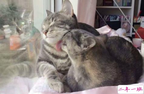 微博治愈系文字控说说长篇 温暖又治愈的长篇说说精选8条7