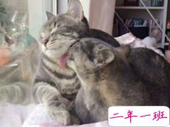 微博治愈系文字控说说长篇 温暖又治愈的长篇说说精选8条