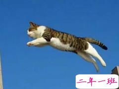 温暖治愈系说说简短一句话 生活中温暖一句话说说心情短语