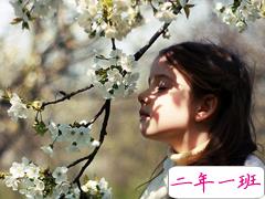 感到心酸难过的寂寞说说 一个人失眠感到寂寞孤独的说说