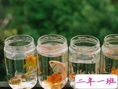 爱一个人爱到不爱的心情说说 心情低落的心情说说