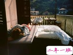 关于懂事成熟很心酸忧伤的说说 你这么成熟懂事应该没什么人疼你吧