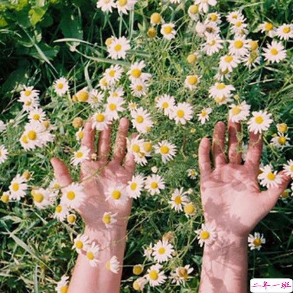 心烦意乱心情说说 关于爱情和人生的微信说说心情句子大全2