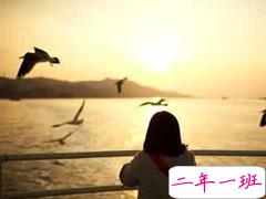 对爱情感到迷茫绝望的忧伤心情不好的说说