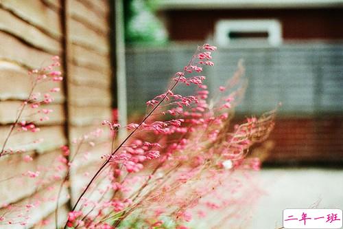 不知道发什么说说时感觉有些无聊发的说说2