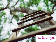 不知道发什么说说时感觉有些无聊发的说说