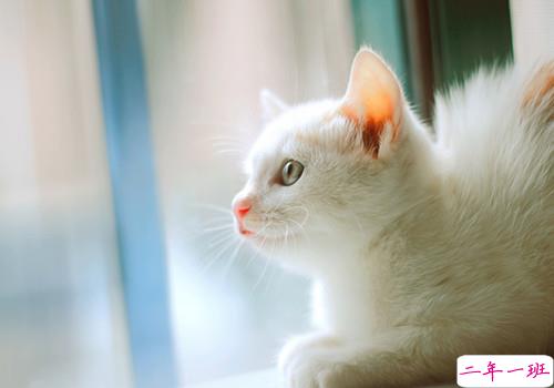 小心翼翼喜欢一个人的心酸说说 和你聊天我不喜欢用句号1