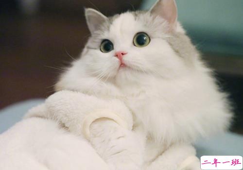 小心翼翼喜欢一个人的心酸说说 和你聊天我不喜欢用句号2