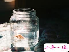 心情不是很好茫然时发的说说 对珍视的人说的每一句话都是誓言