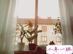 有些心累想要放弃的说说 这么久了我学会的除了坚持到底还有适可而止