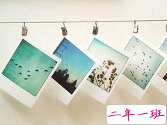 感到心累的伤感短句子说说 该爱的年纪却爱够了