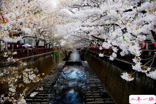 适合对一个人一见钟情发的说说 惊鸿一瞥便一见钟情1