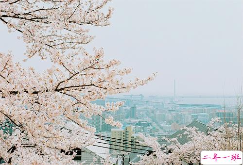 适合对一个人一见钟情发的说说 惊鸿一瞥便一见钟情2