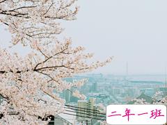 适合对一个人一见钟情发的说说 惊鸿一瞥便一见钟情