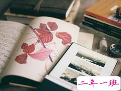 适合整个人很丧的时候发的说说 就像这世界只有我或者说没有我