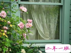 有些孤独寂寞时候发的说说 如果忘不掉秋雨那就暂时把记忆叠起