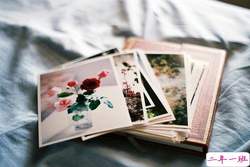 抖音上很火的关于现实和人生的经典句子2