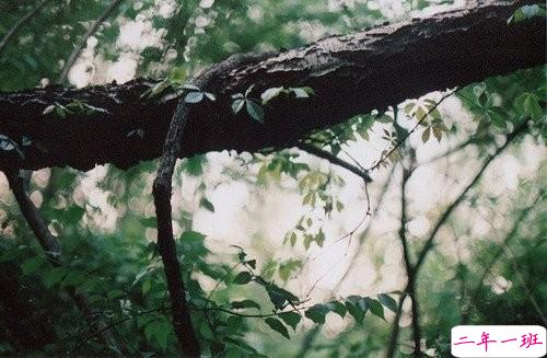 两个聊了很久的人突然不聊天了，是一种什么样的体验？2