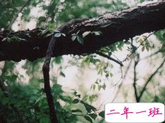 两个聊了很久的人突然不聊天了，是一种什么样的体验？