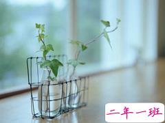 适合有时候突然心累悲伤时发的说说 你是我叹息般的人生中唯一的热望