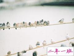 唯美文艺治愈系说说 我想化作一阵春风被你留在身边